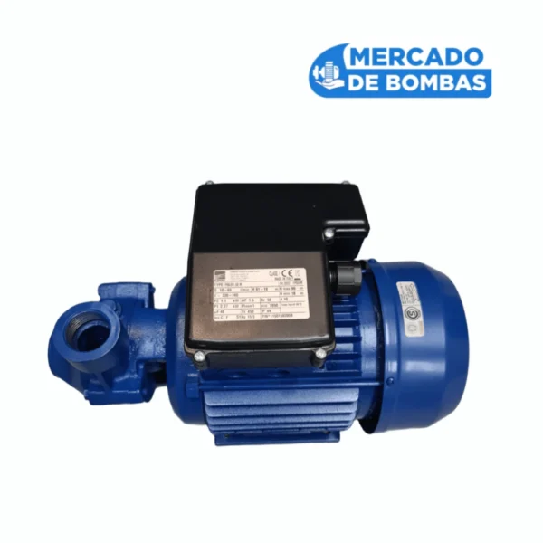 Bomba Periférica EBARA PRAI 2.00T IER - 2hp - Potencia y Robustez - Imagen 6